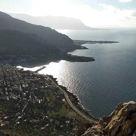 Degli Ulivi